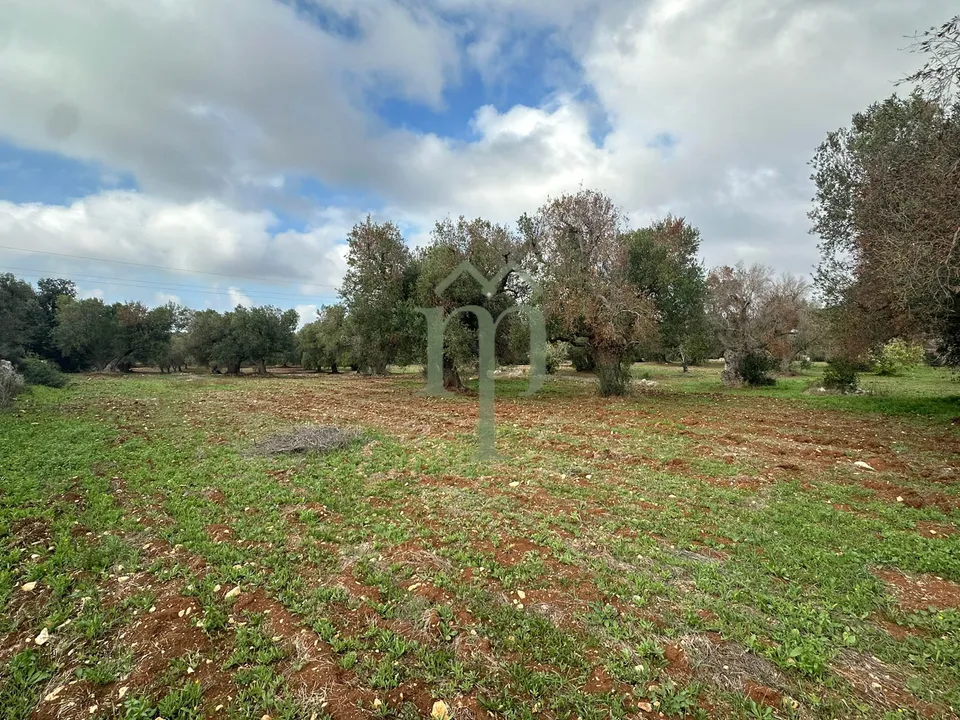 Tomt i Carovigno, Brindisi - bilde 3
